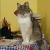 Отзыв от Маргарита Дорохова